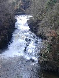 Falls of Clyde